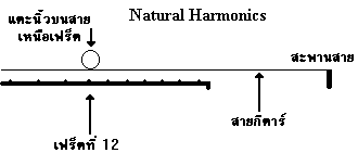 nh.gif (2156 bytes)